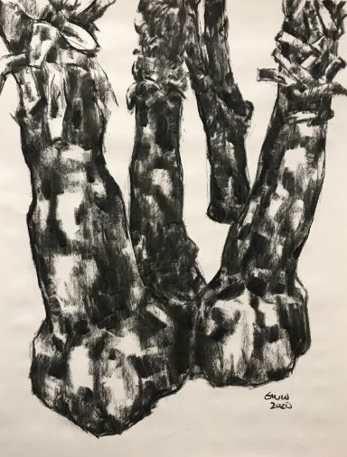 Palm Tree Stumps
