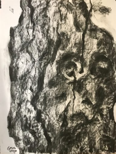 Tree Barks 2
